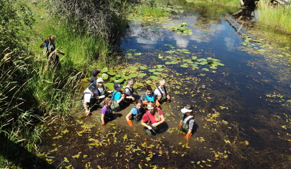 group in the wetlands