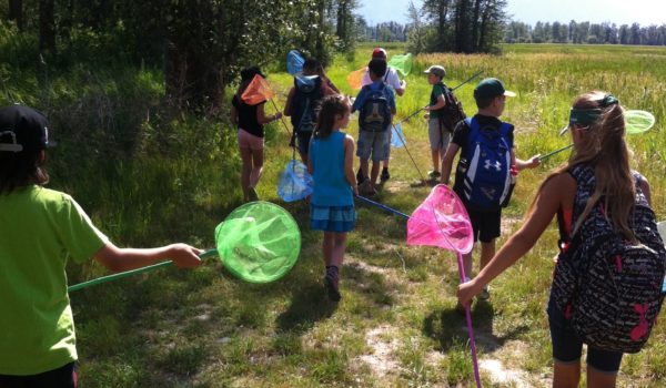 kids with bug nets